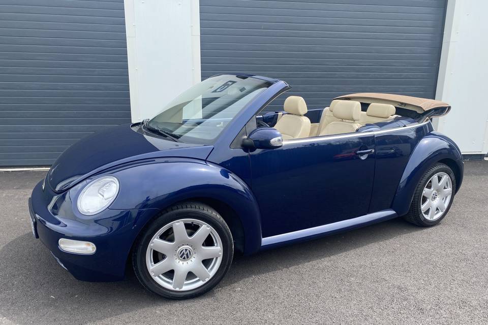 New Beetle 2008