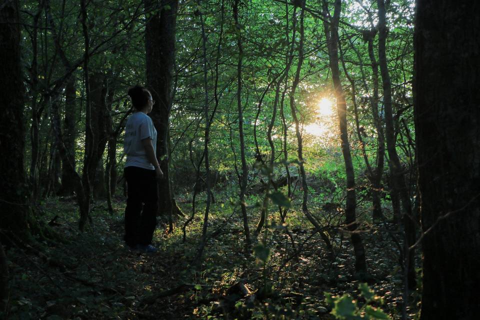 Foret