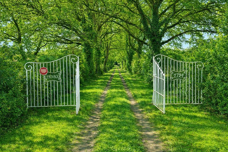 Entrée Domaine