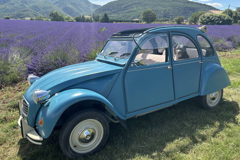 Citroën 2 CV