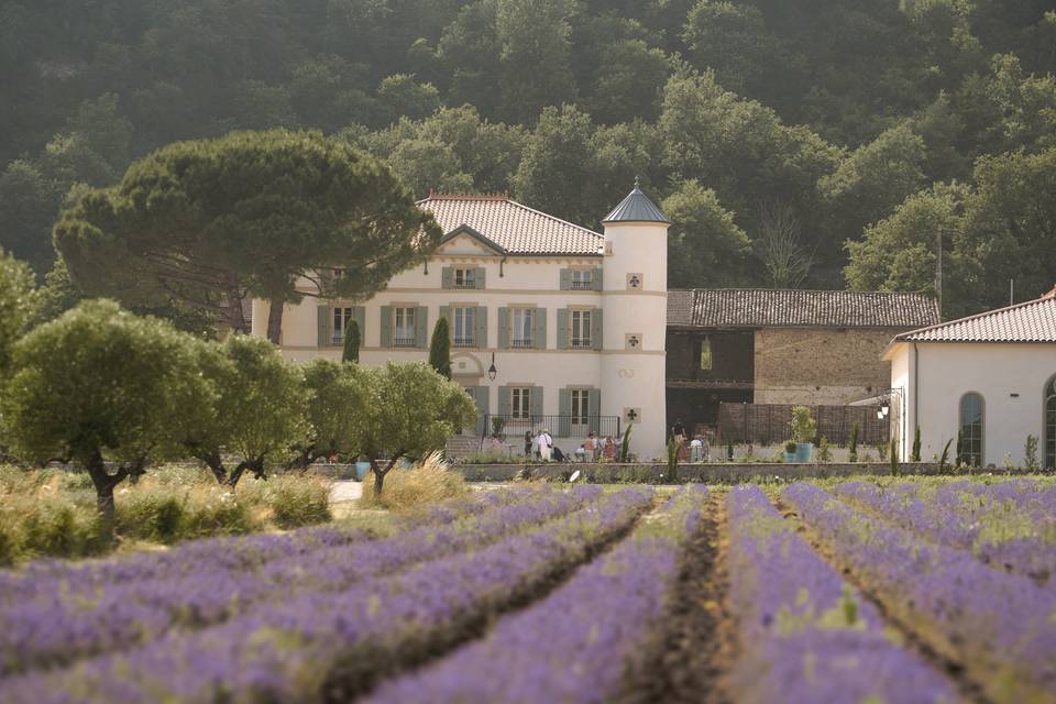Domaine