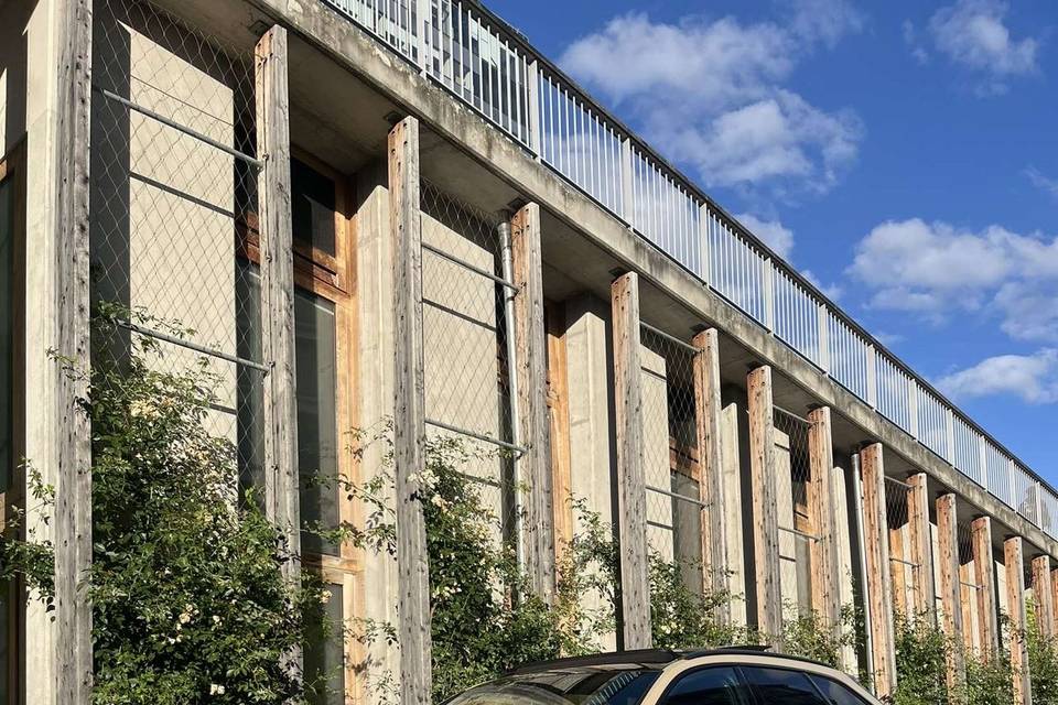 Wonderent