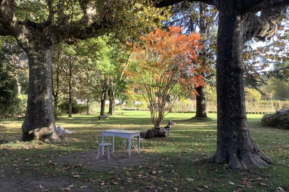 Vue sur le parc arboré