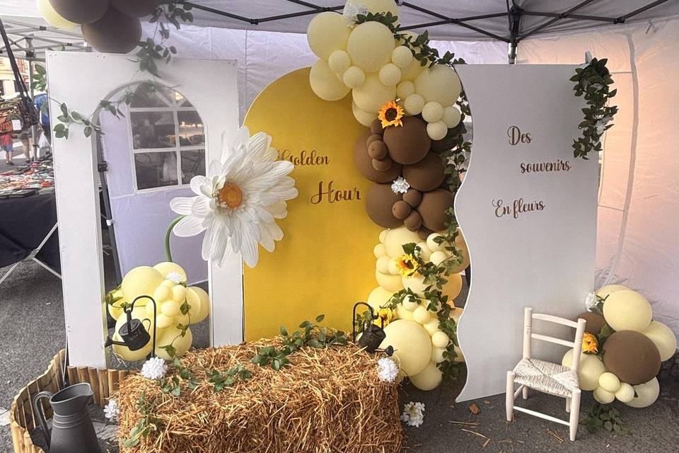 Tournesols