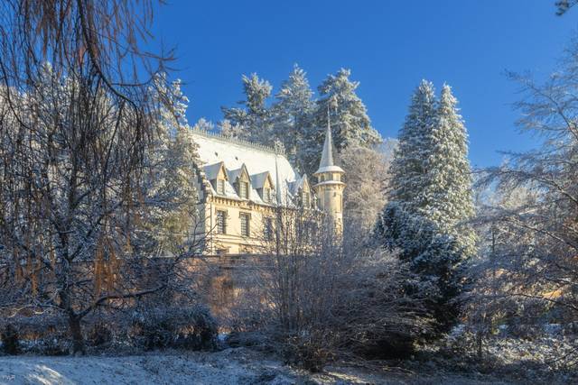 Château de la Rosemontoise