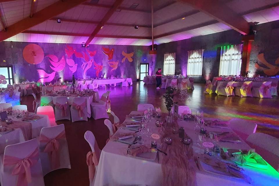 Animation Mariage en occitanie