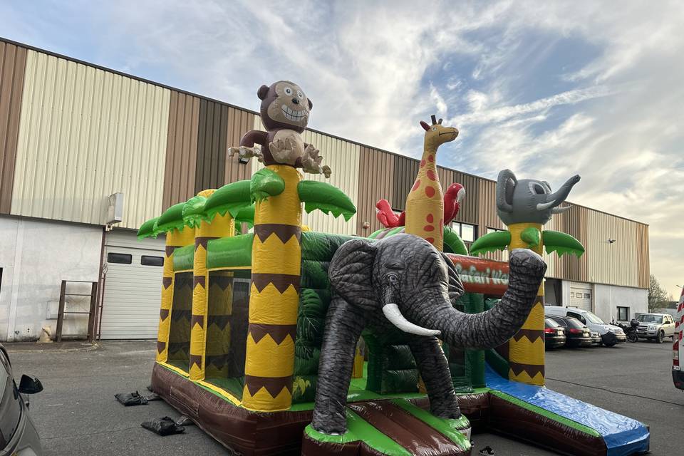 Château safari