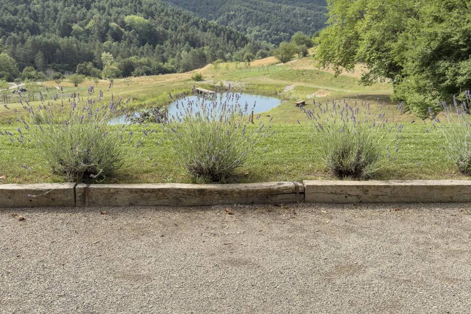 Petanque