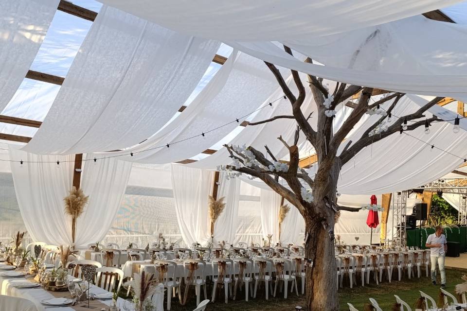 Mariage juilley