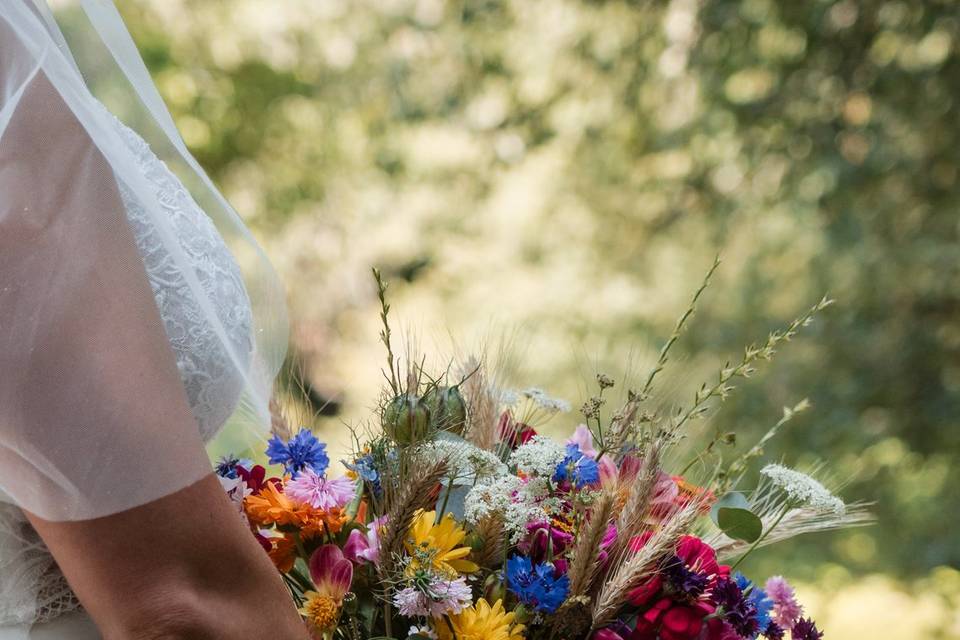 Sophia & Francois-Marie