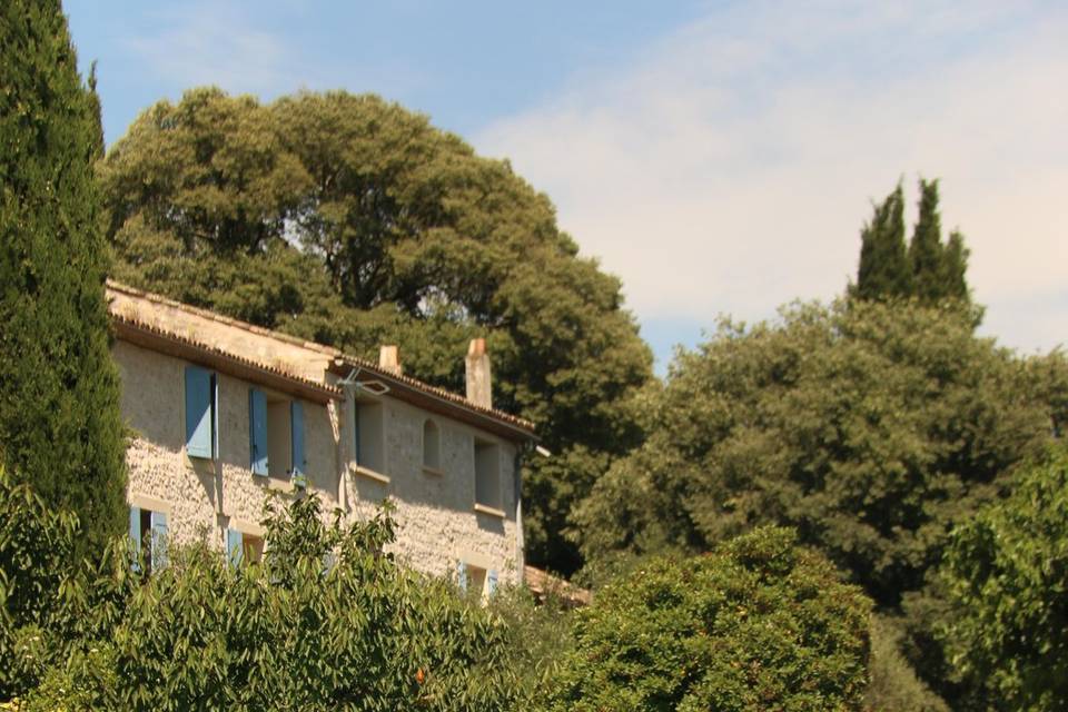 Piscine au coeur du Domaine