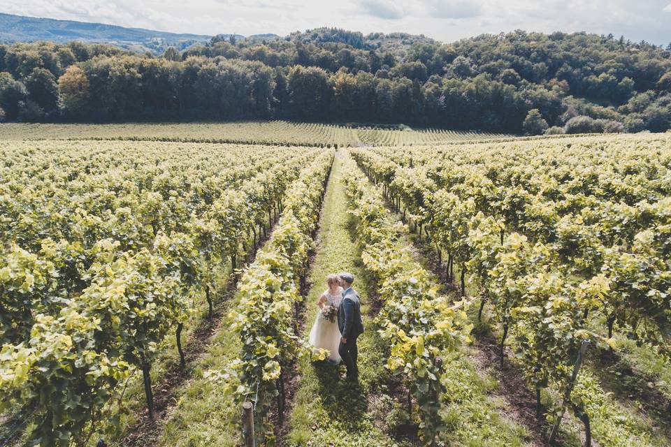 Les mariés dans les vignes
