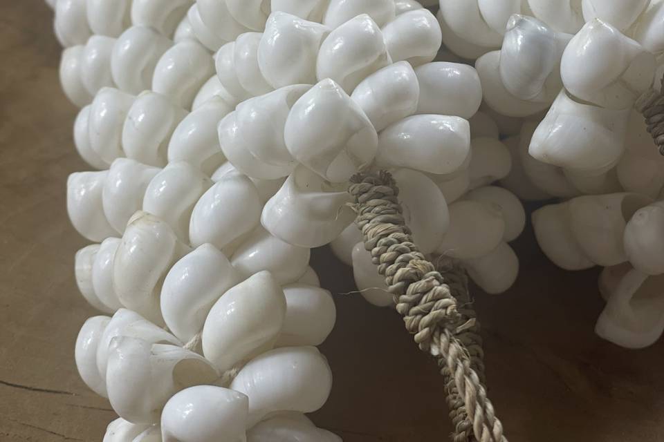 Balina