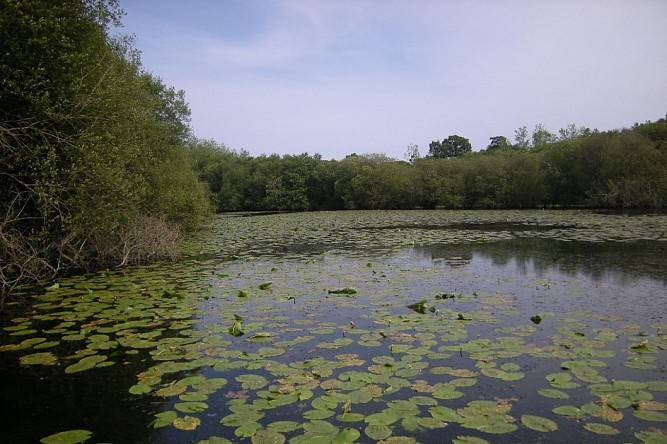 La biodiversité