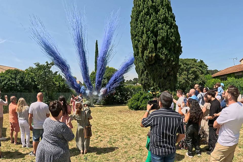 Gender Reveal