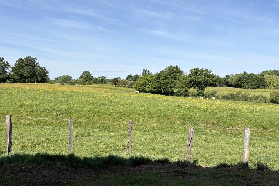 La vue du gite