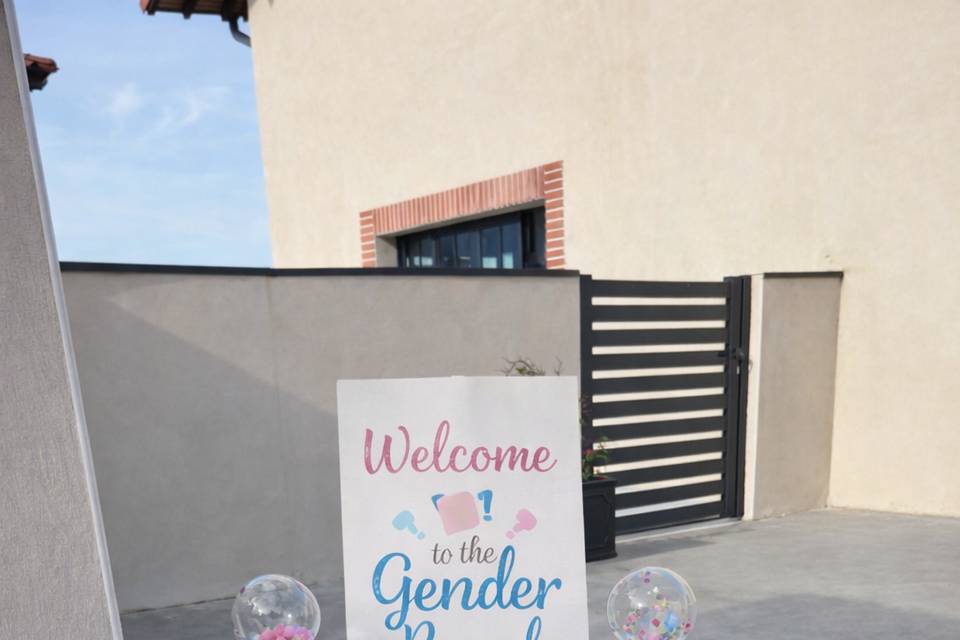 Gender reveal