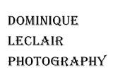 Dominique Leclair Photography logo