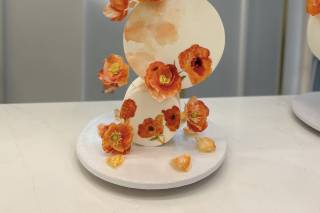 Cake Concept