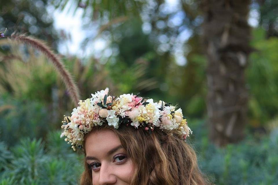 Couronne adulte