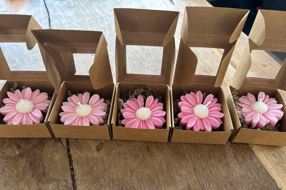 Bougie pâquerettes