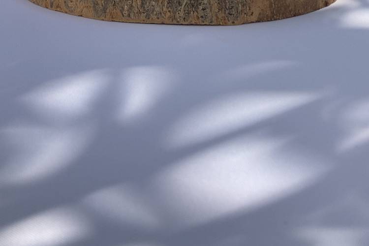 Déco de table
