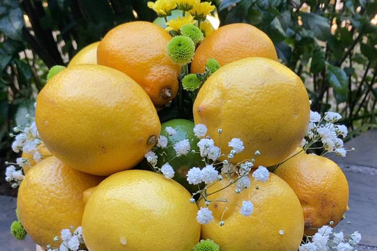 Composition florale