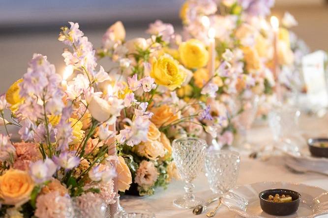 Quand la magie opère