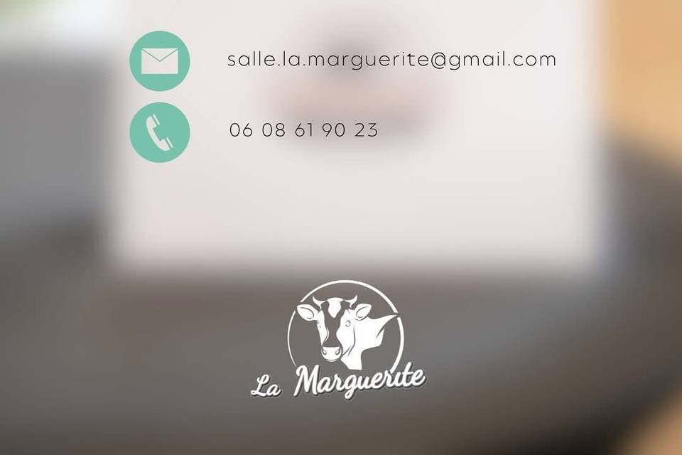 Contact