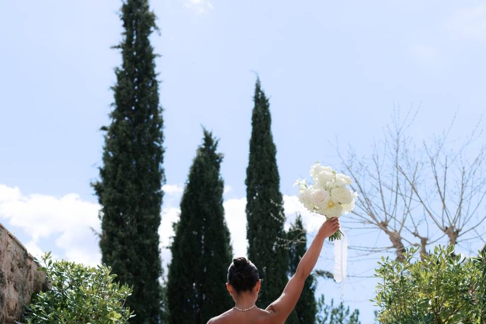 La lumière de la Provence