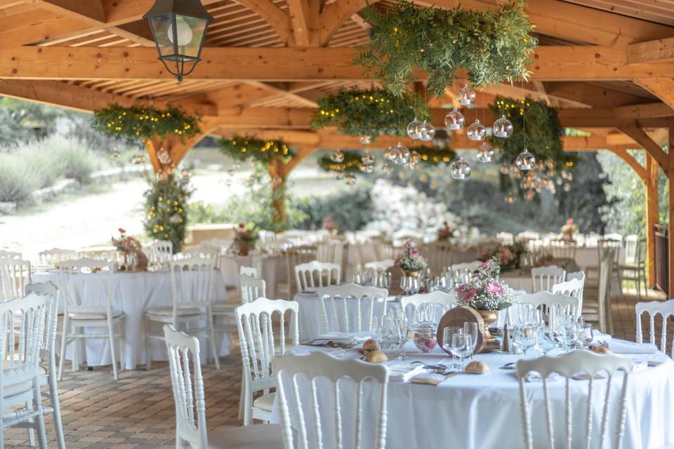 Suspensions végétales