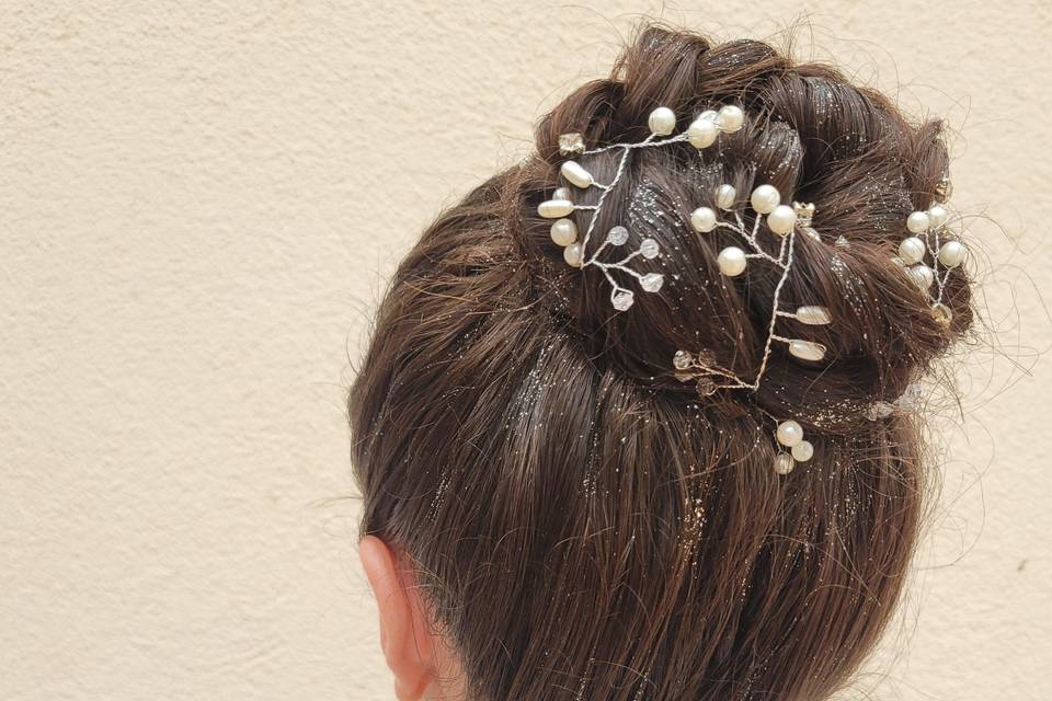 Idée de chignon