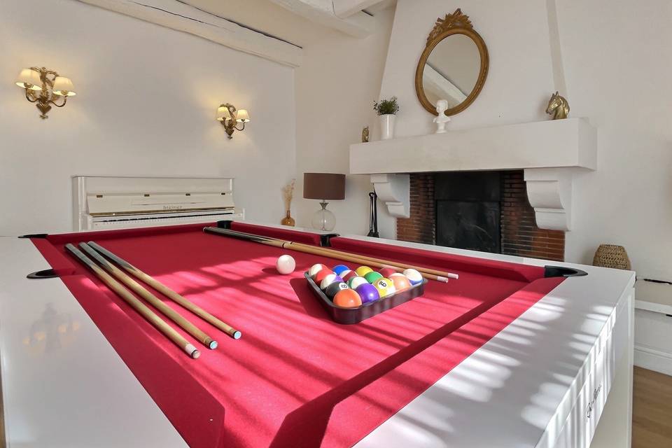 Billard Domaine de Bonaveau