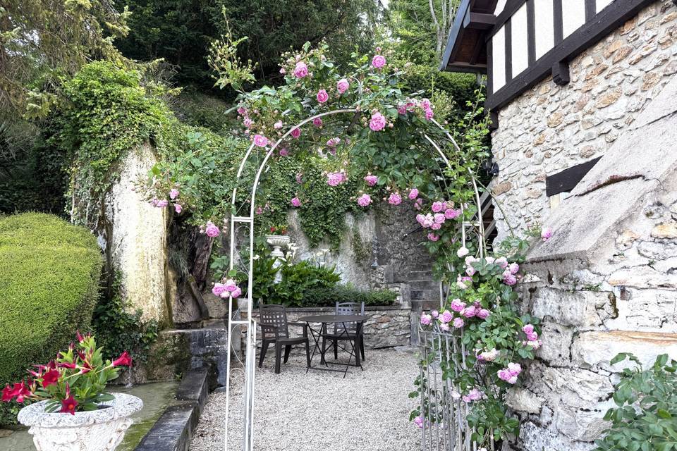 Rosiers en fleur