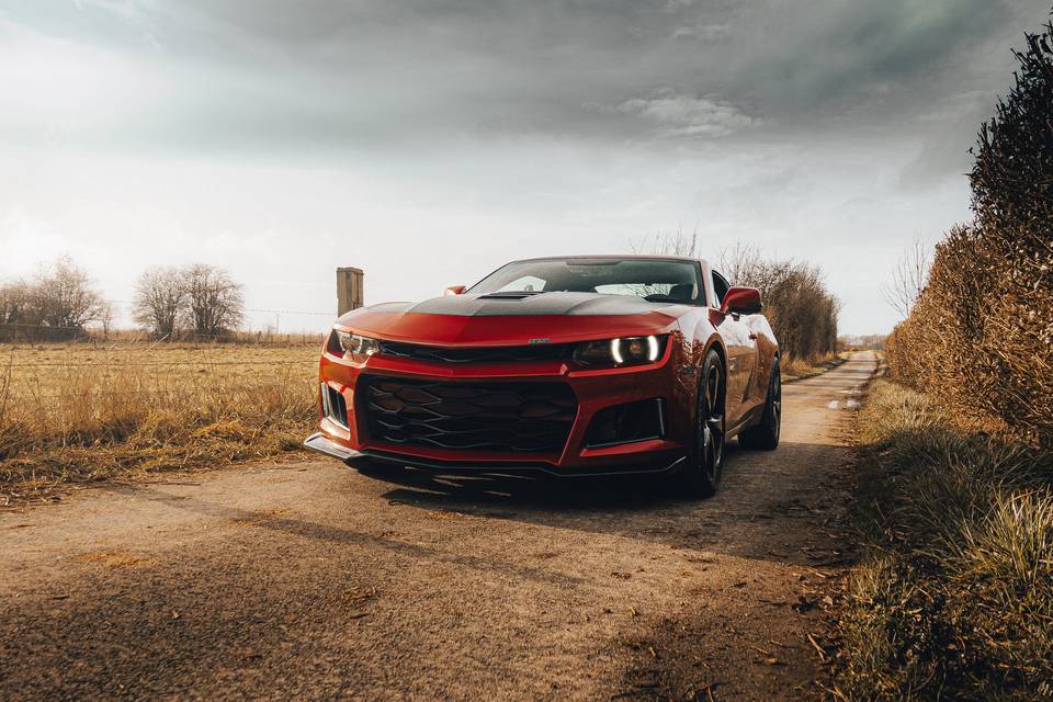 V8 Prestige