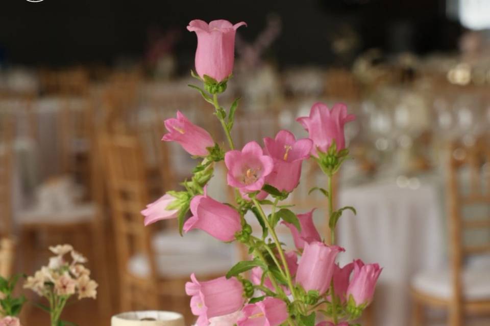 Dressage table