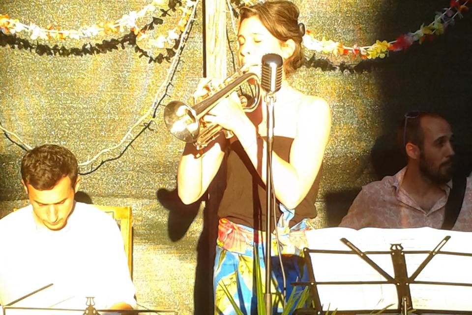 Hawaii Safari en concert