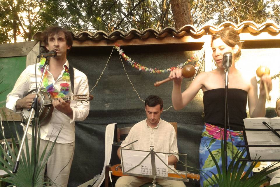 Hawaii Safari en concert