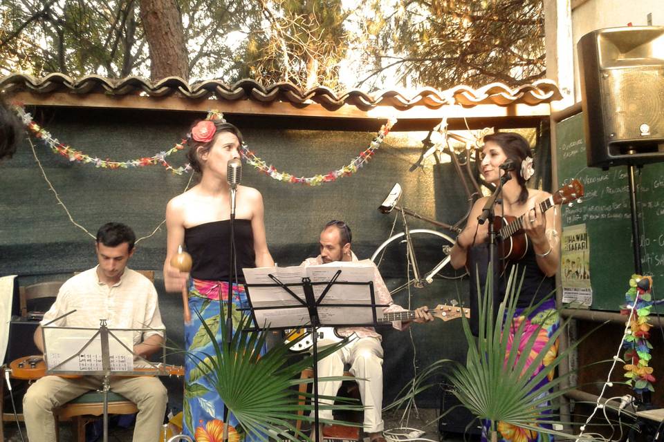 Hawaii Safari en concert