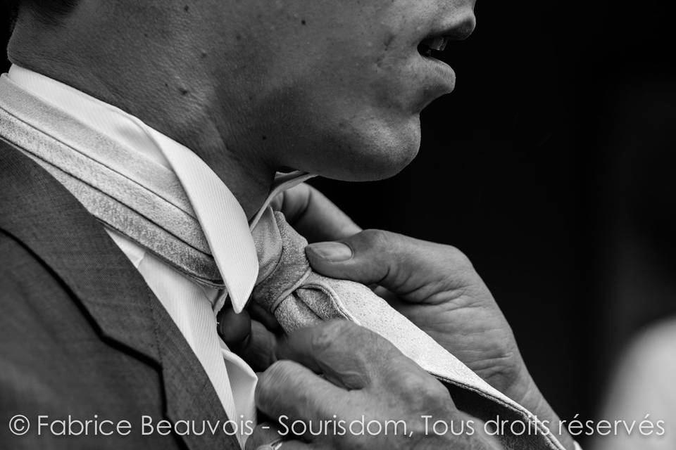 Fabrice Beauvois - Sourisdom