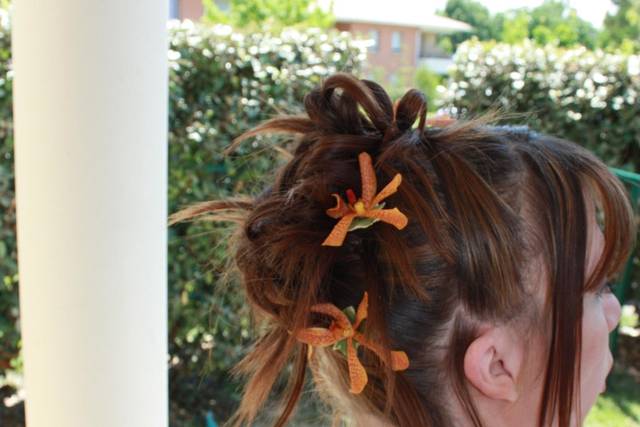 Chignon