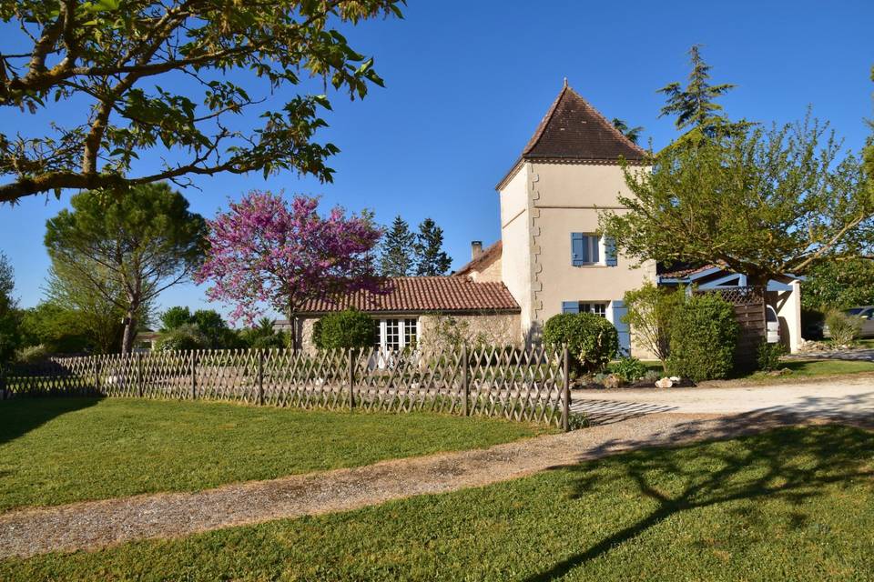 Allée d'arbres fruitiers