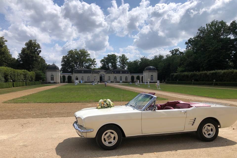 Mustang 66 côté