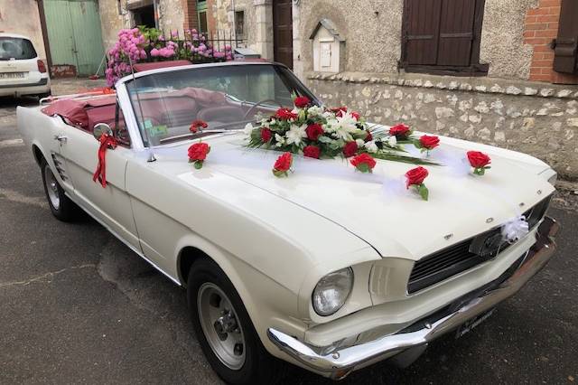 Mustang 66 ex. Déco