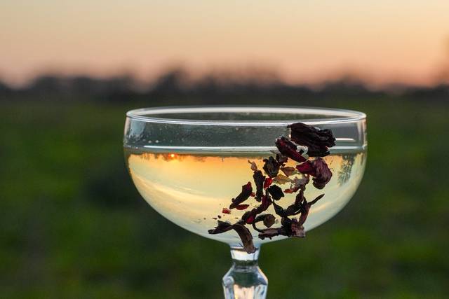Dry Martini
