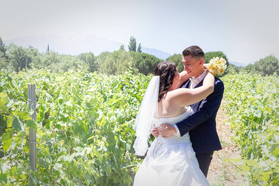 Mariage dans les vignes