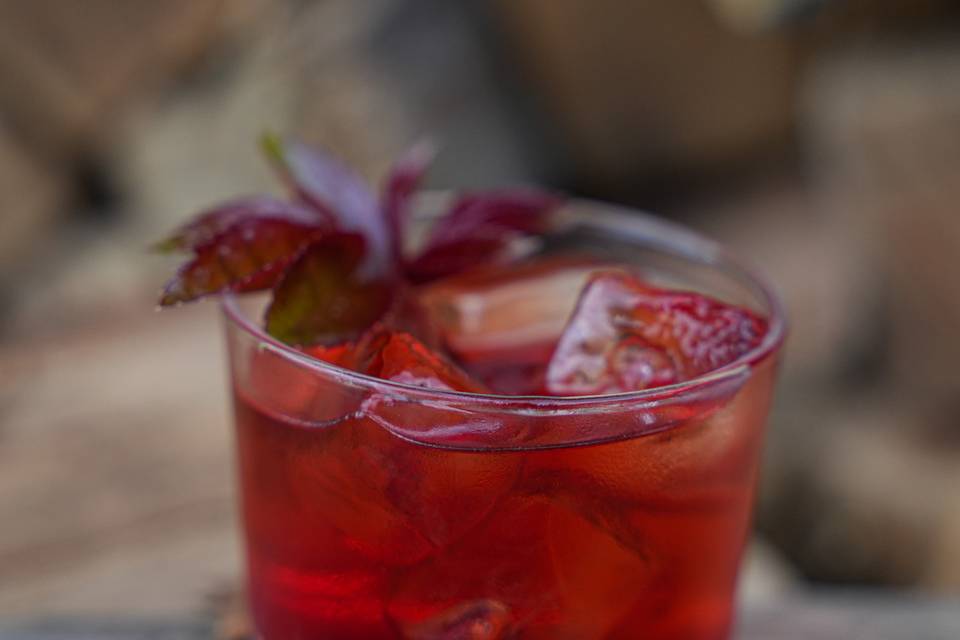 Negroni