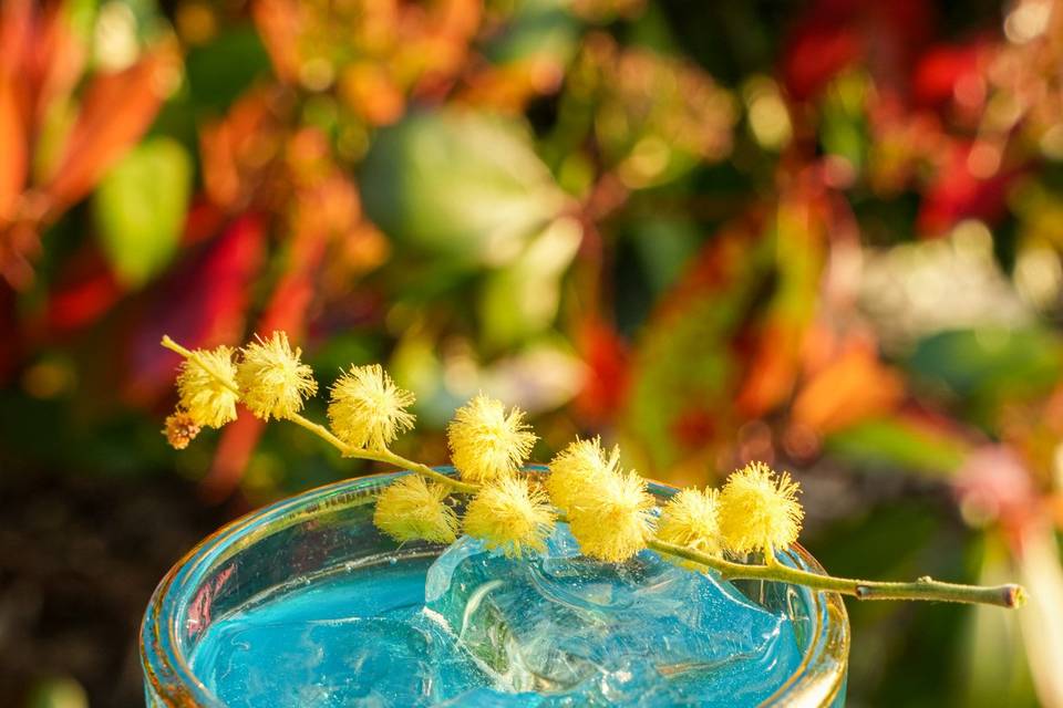 Blue Mule