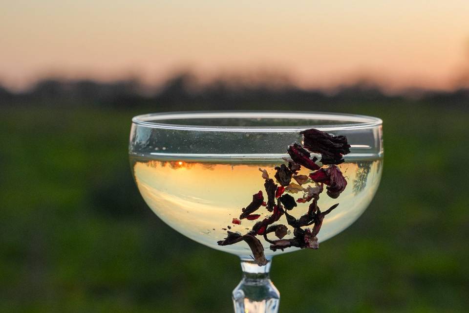 Dry Martini