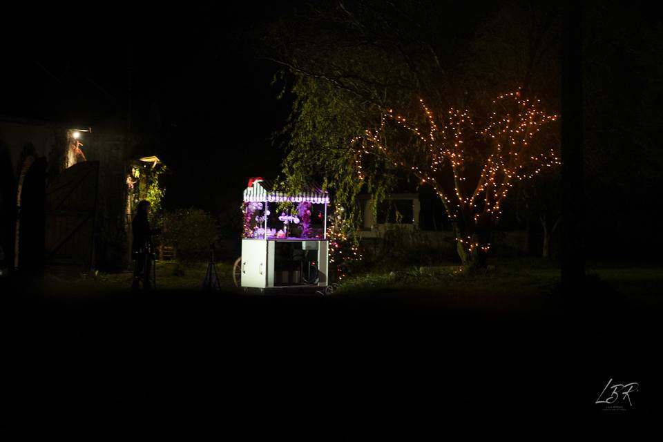 Lumière dans la nuit